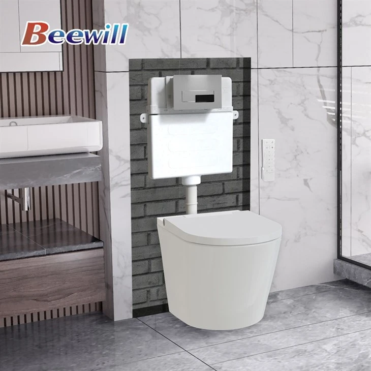 toilet with concealed cistern
