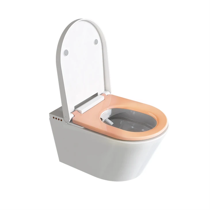 Bidet twalèt ak dlo tyèd ak seche rad